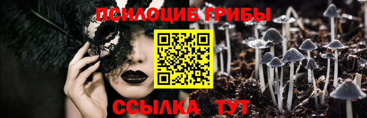 Артёмовский  Псилоцибиновые грибы прущие грибы  где купить   Вход с VPN  Галлюциногенные грибы мицелий 